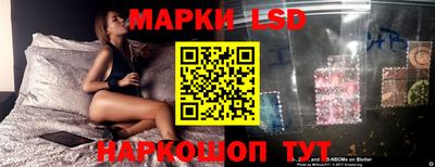 PSILOCYBIN Новокубанск